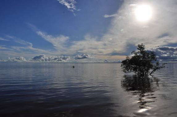 O rio Tapajós no período de cheia, em Alter do Chão - PA